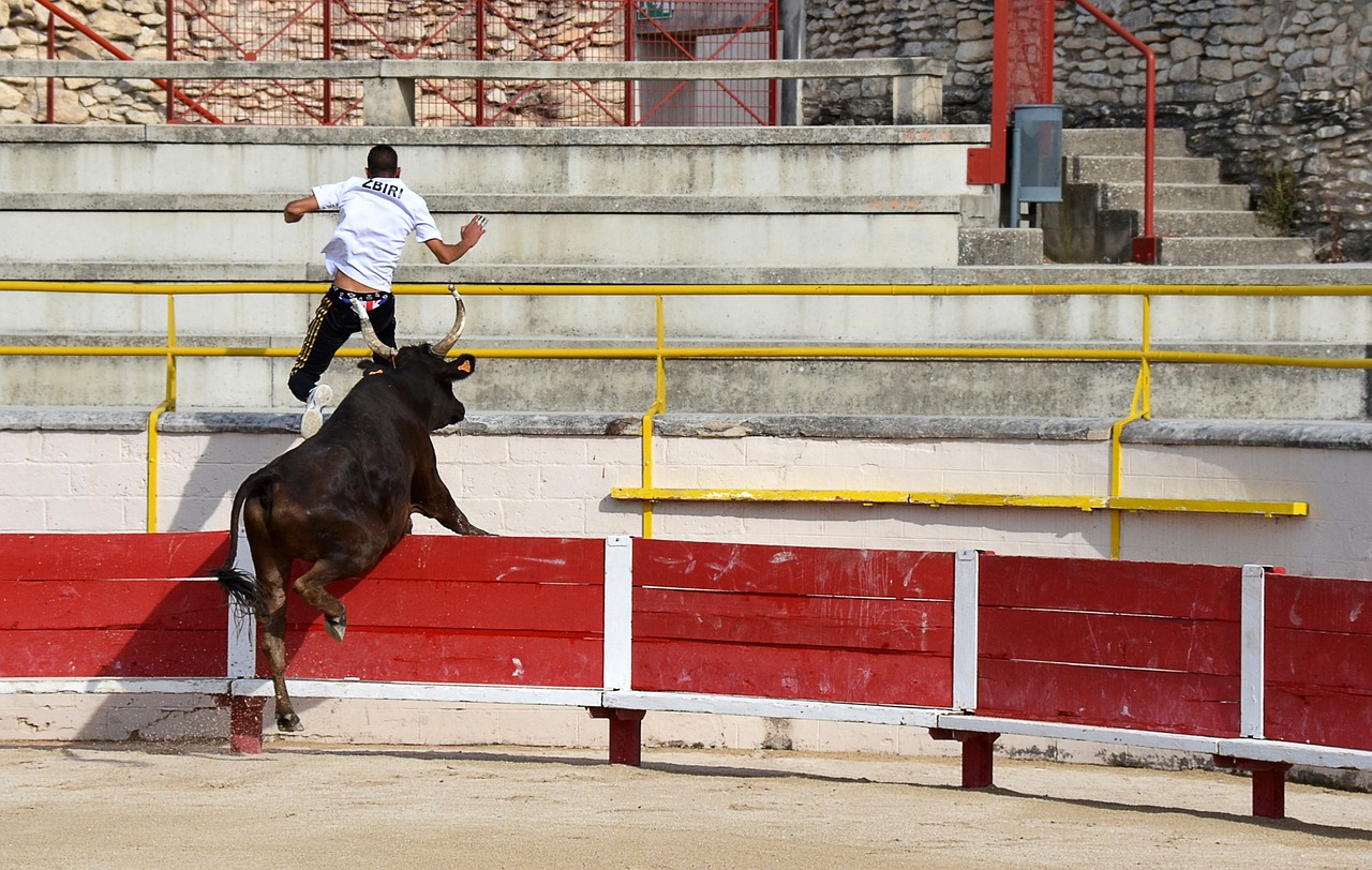 通过这次首