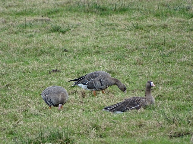 赛舞台即将 赛舞台即将