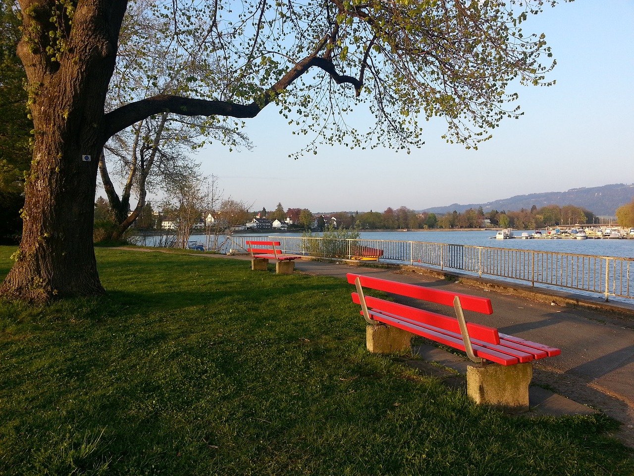 目标受众 目标受众