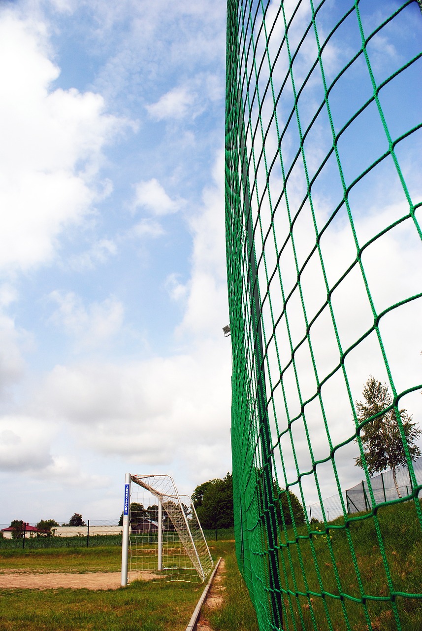 在绿茵场上 在绿茵场上