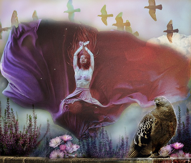 下东契奇 下东契奇